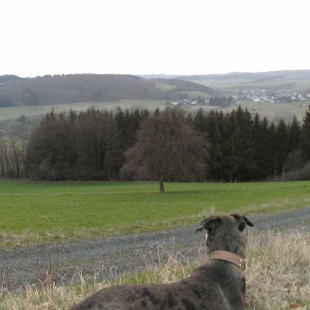 Funny-Farm Villa Sassen Exterior photo