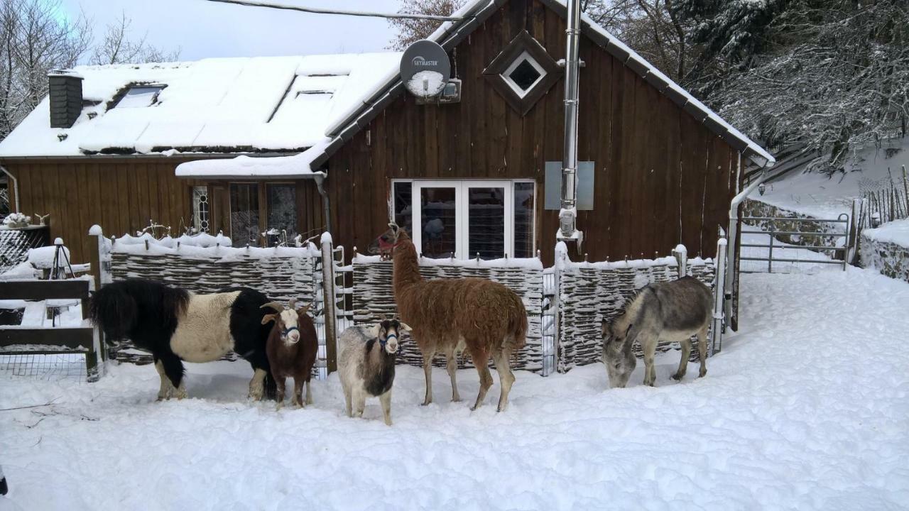 Funny-Farm Villa Sassen Exterior photo