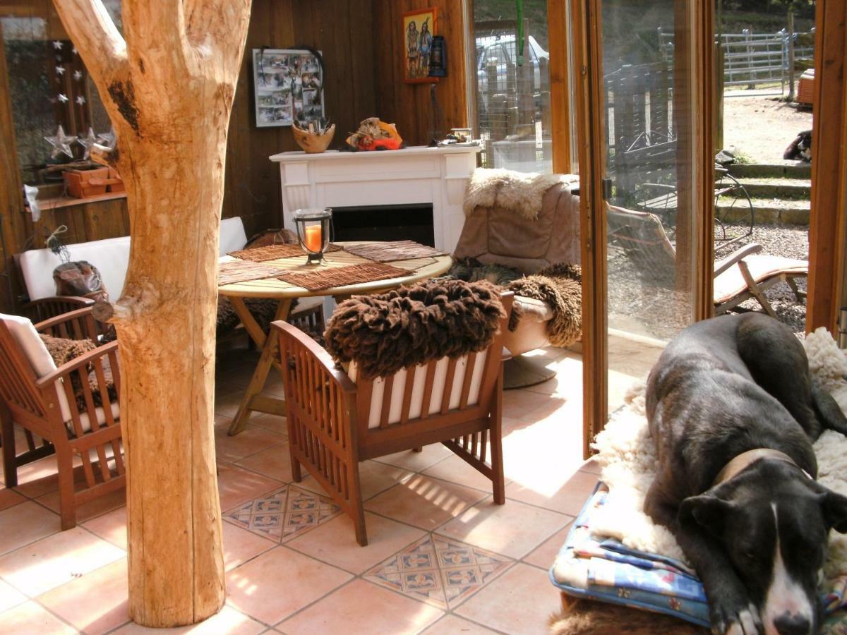 Funny-Farm Villa Sassen Exterior photo